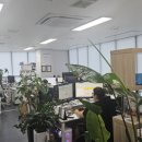 서원세무회계사무소 - 서귀포시 신동로67번길 9 | 서원세무회계사무소