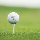 금곡 스크린 골프 이미지