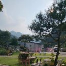 젤코바 이미지