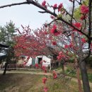 삼례문화예술촌 상설공연 운영 이미지