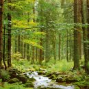 오카리나A 이미지