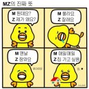 서림유치원~신반도상사 | 11月. 가출 청년이 되.