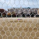 평해생활체육공원 이미지