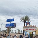 고릴라버거 앤 컵밥 | 미서부 9월 초 날씨 미국여행 8박 10일 후기 5일차 (인앤아웃버거, 라스베가스 사인보드, fly over...