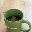 덕양빌딩 | [수스킨케어] 덕양구윤곽관리 에스테틱 솔직후기