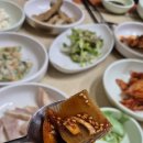 청해물텀벙 티스토리