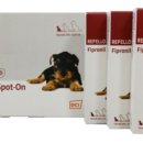 대현약국 이미지