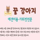 꿀강아지 테리하우스 이미지