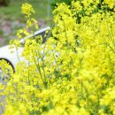 백수목장 이미지