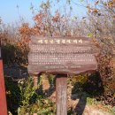 새벌농장 이미지