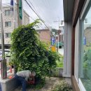 송리경로당 이미지