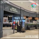 시즌 | 애슐리 퀸즈 수지 롯데몰 2026 토마토 시즌 후기! 가격 &amp; 주차 &amp; 평일 디너 (내돈내산 &amp; 솔직후기)