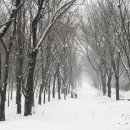 피그멜리온 이펙트 이미지