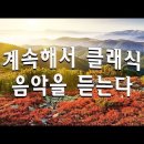 [광고없음][NO ADS] 클래식 명곡 베스트 | 부드러운 아침을 위한 명곡 클래식 음악 모음 | 카페에서 책 읽을 때 좋은 클래식 이미지