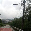 성우조경