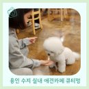 큐티멍 | 용인 수지 아이와 실내 애견카페 큐티멍