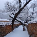 약초향기 민박 이미지