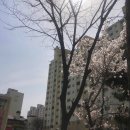 부루니까페 | [휴학생 에이용의 4월 일상 모음집] 열심히 일하고 먹고의 반복된 일상이야기