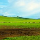 초원컴퓨터 이미지