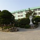 월영초등학교 Daum카페