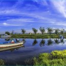 삼락생태공원 이미지