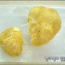 상복농장 이미지