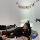더맘키즈풀빌라B동
