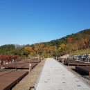 달서별빛캠프 캠핑장(데크캠핑장) 이미지