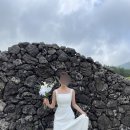 함초롬플라워 이미지