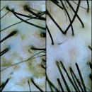 수원-0237 이미지