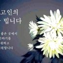 부고알림:동해(박용선)님 모친 별세 이미지