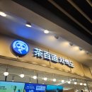 차백도 잠실 지하상가 오픈 베스트 메뉴 추천 망고 포멜로 사고 후기