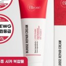 블로즈 이미지