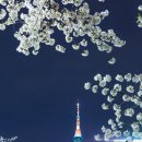 농민농약백화점 이미지