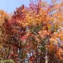 인천환경공단 청라사업소 이미지