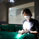 평촌자이아이파크3문 이미지