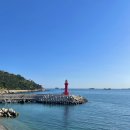 부산관광공사 부산시티투어 | 고민 말고 탑승! 부산시티투어버스 100% 활용 가이드