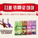 지에스펫 이미지