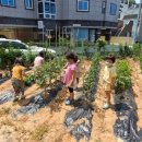 천마어린이집 이미지