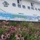 온천천관리사무소 이미지