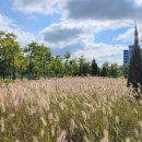 서호꽃뫼(2) 이미지