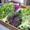 아리랑우렁쌈밥 이미지