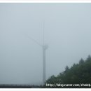 음매목장 이미지