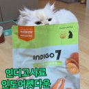 포캣 | 인디고 세븐 인도어 팻다운 포캣 사료 후기