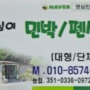 영심민박 이미지