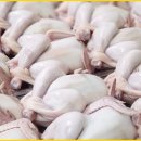 웅추농장 이미지