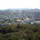 올림픽상가뒤 이미지