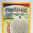 수정종묘농약사 | PMR하니맛 100립/네트발현이 우수한 흰가루 내병계 고품질 멜론 씨앗/사카타코리아
