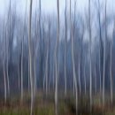 더불어숲 이미지