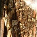 소망2농장 이미지